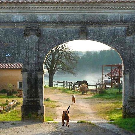 Domaine De Chantemerle B'Nb Marsac  المظهر الخارجي الصورة