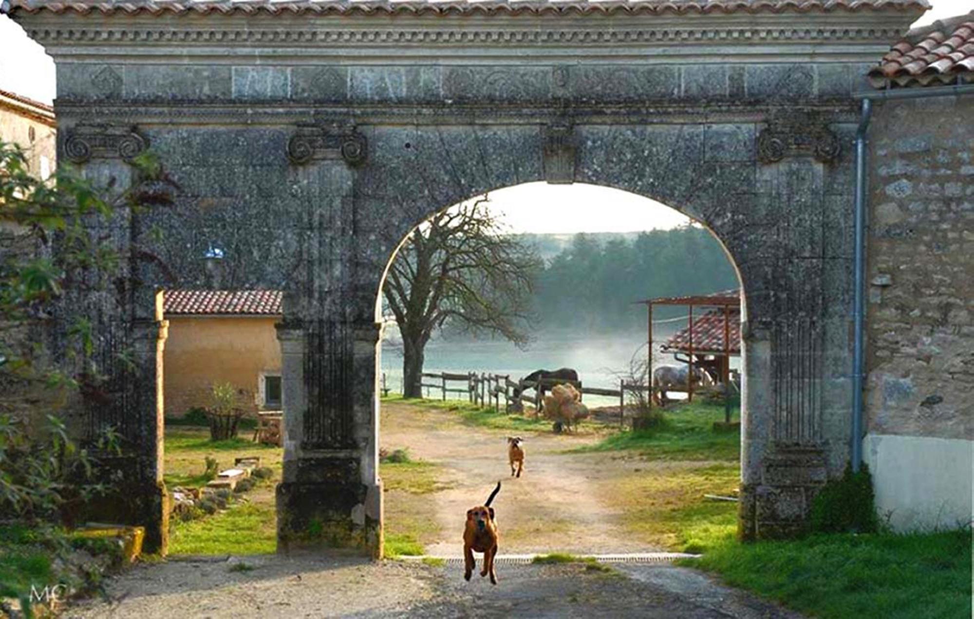 Domaine De Chantemerle B'Nb Marsac  المظهر الخارجي الصورة